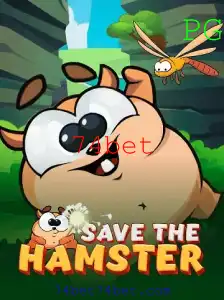 SavetheHamster: Um Jogo Inovador para Todos os Públicos